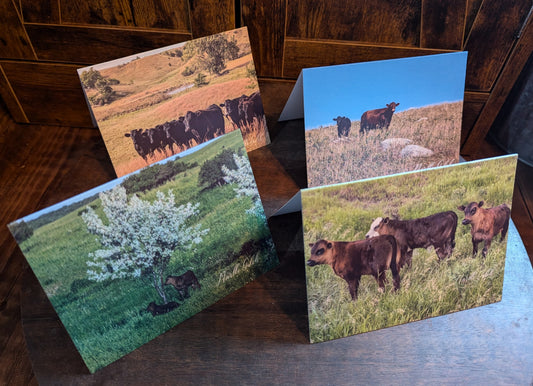 Cattle on the Ranch Notecards - 4 pack