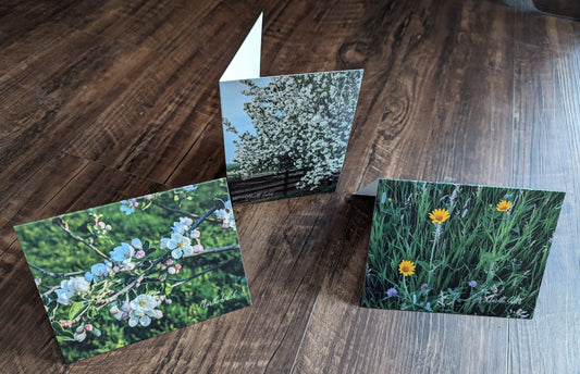 Flowers on the Ranch notecards - 3 pack